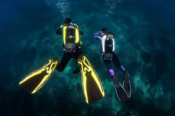 Ласты Aqua Lung Ласты Aqua Lung